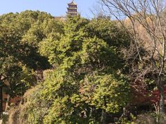 -狼山风景名胜区