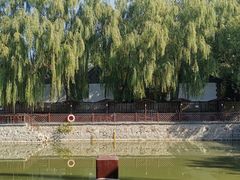 -尚庄度假村·庭台树下·户外烧烤·团建CS·轰趴营地(上庄水库店)