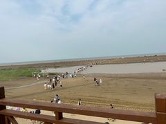 -启东黄金海滩景区