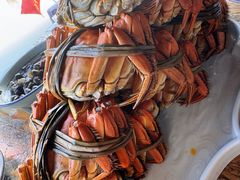 -水岸居湖景农家乐·阳澄湖大闸蟹