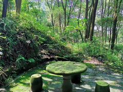 -铁山坪森林公园