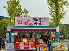 -曹州牡丹园