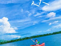 -芒洲湿地公园