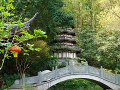 -深圳国际园林花卉博览园