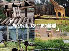 -南昌动物园