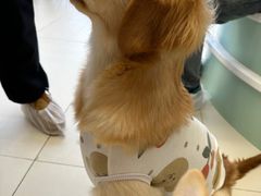 -怪兽屋·羊驼·猫咖·狗咖(俊华广场店)