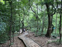 -上海佘山国家森林公园天马山园