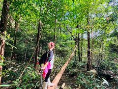 -天目山大树王景区