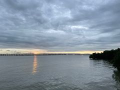 -宝安西湾红树林湿地公园