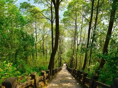 -金堂县云顶石城风景区