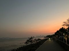 -深圳湾公园(南山区)