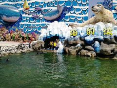 -华夏文旅海洋公园