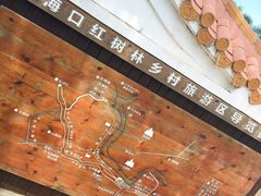 -东寨港红树林旅游区