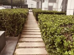 -森诺运动康复中心(北苑店)