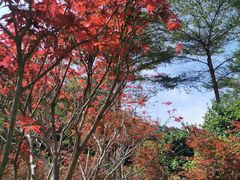 -广州市帽峰山景区