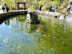 -大连天门山国家森林公园