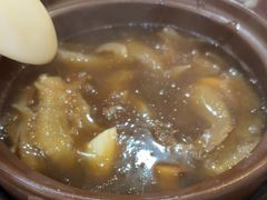 -大中鱼翅 Taitong Shark Fin