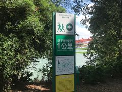 -荷塘月色湿地公园·向阳花洲