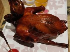 红烧乳鸽-大鸽饭(北京路店)