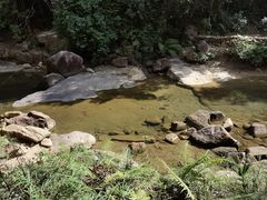 -广州白江湖森林公园