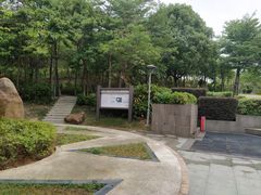 -聚龙山公园