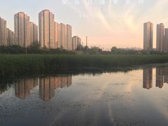 -前关湿地公园