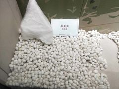 -杭州西湖丝绸文化博物馆
