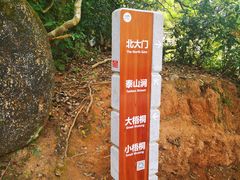 -梧桐山风景名胜区