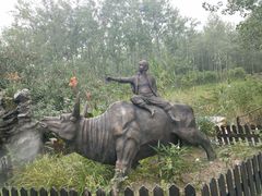 -合肥滨湖国家森林公园