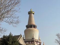 -张掖大佛寺景区