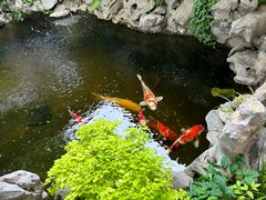 -鲤院·新中式美学·庭院餐厅(夫子庙店)