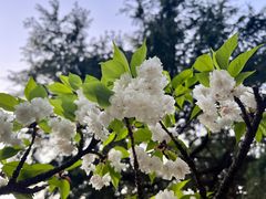 -白塘生态植物园