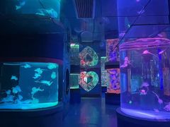 -左海海底世界