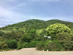 -宝岩生态观光园