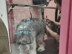 -FAELING PETS美天灵宠物(合生汇店)