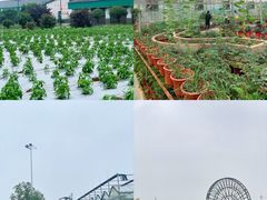 -千龙湖生态旅游度假区