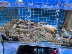 -山海蟹庐·海鲜糟粕醋火锅(慈溪店)