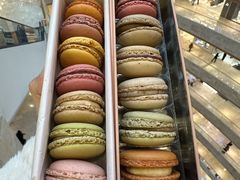 -Pierre Marcolini(德基广场店)