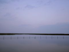 -哈素海