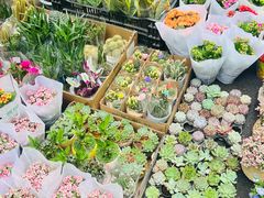 -循礼门鲜花花市(武汉循礼门店)