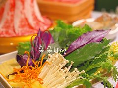 蔬菜-一绪に寿喜烧自助(世茂广场店)