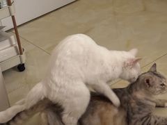 -观音桥步行街