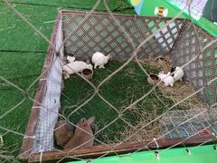 -宁波杉井奥特莱斯广场