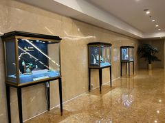 -君邦火锅(新疆大厦店)