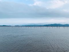 -北岐滩涂