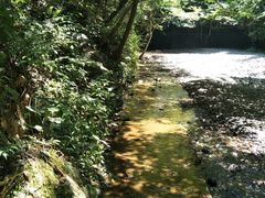 -夏霖九天银瀑风景区