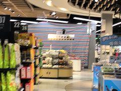 -华润苏果(文昌巷社区店)