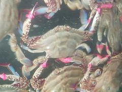 -雅逸居海鲜小厨