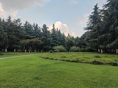 -后襄河公园