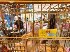 -友谊阳光城